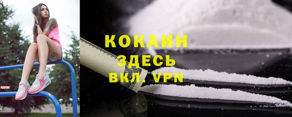 гидра Алексеевка