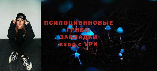 мяу мяу мука Алексин