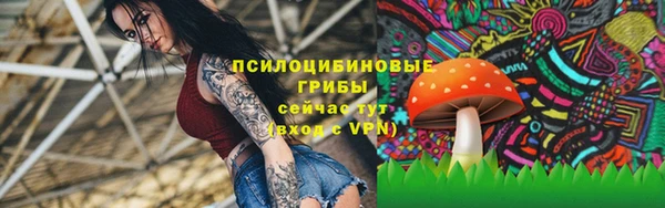мяу мяу мука Алексин