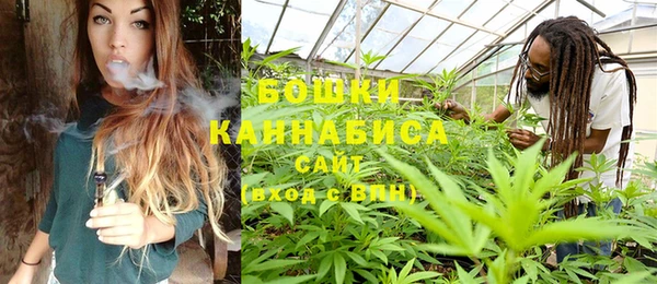 гидра Алексеевка